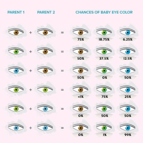 Featured image of post Baby Eyes Change Color Predictor