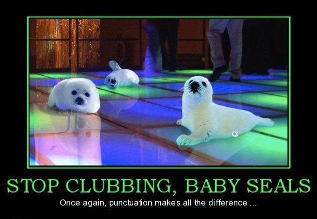 Featured image of post Baby Seal Clubbing Meme