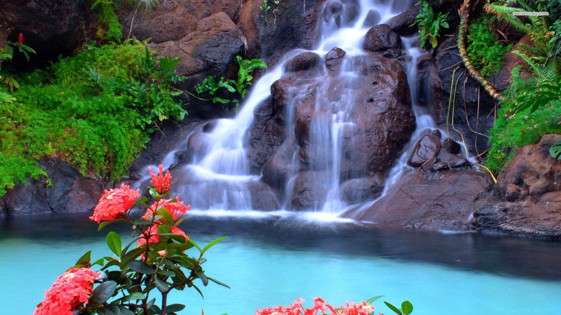 Featured image of post Beautiful Water Fall Images Hd