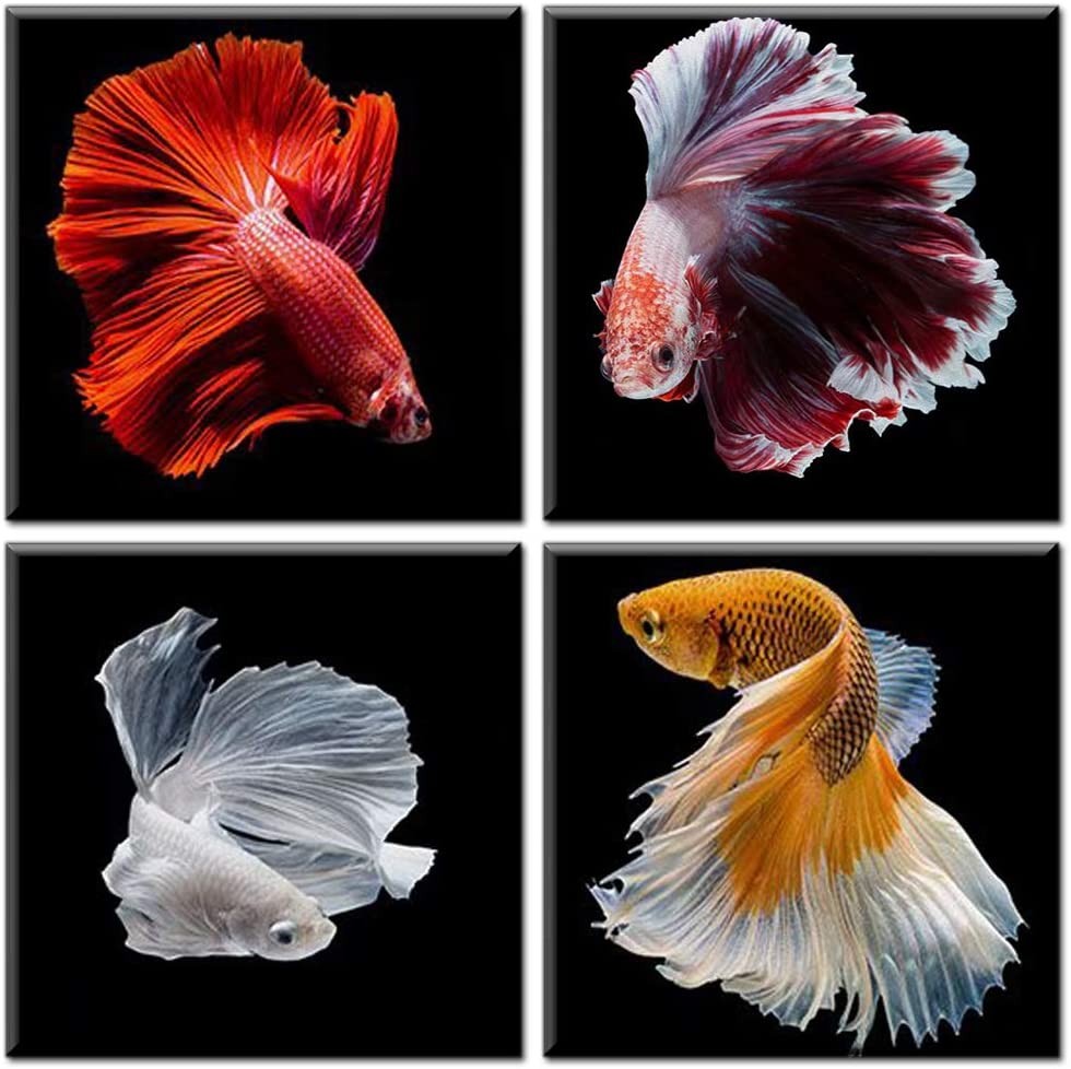 Featured image of post Betta Fish Artwork