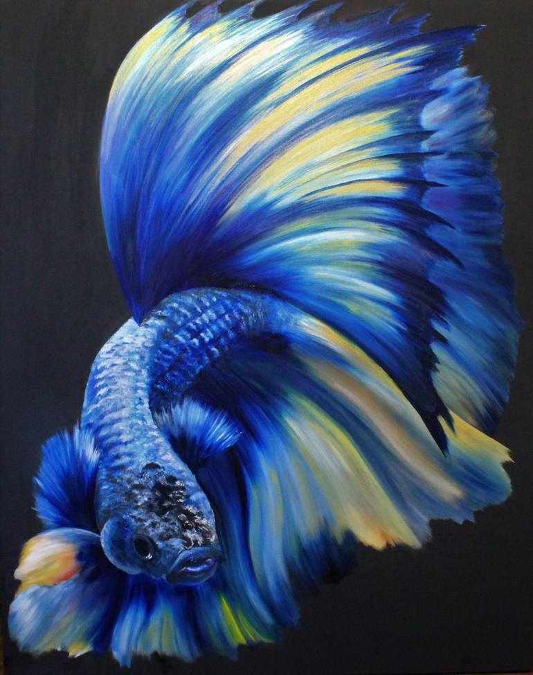 Featured image of post Blue Betta Fish Art