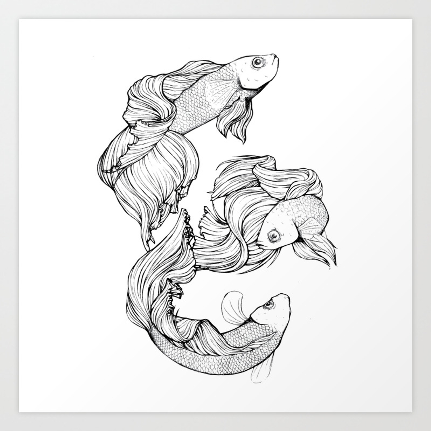 Featured image of post Drawing Betta Fish Art