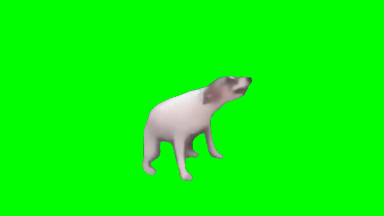 Featured image of post Green Screen Dance Till Your Dead Gif