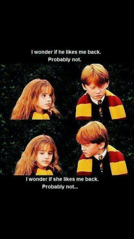 Featured image of post Ron Weasley Hermione Granger Memes