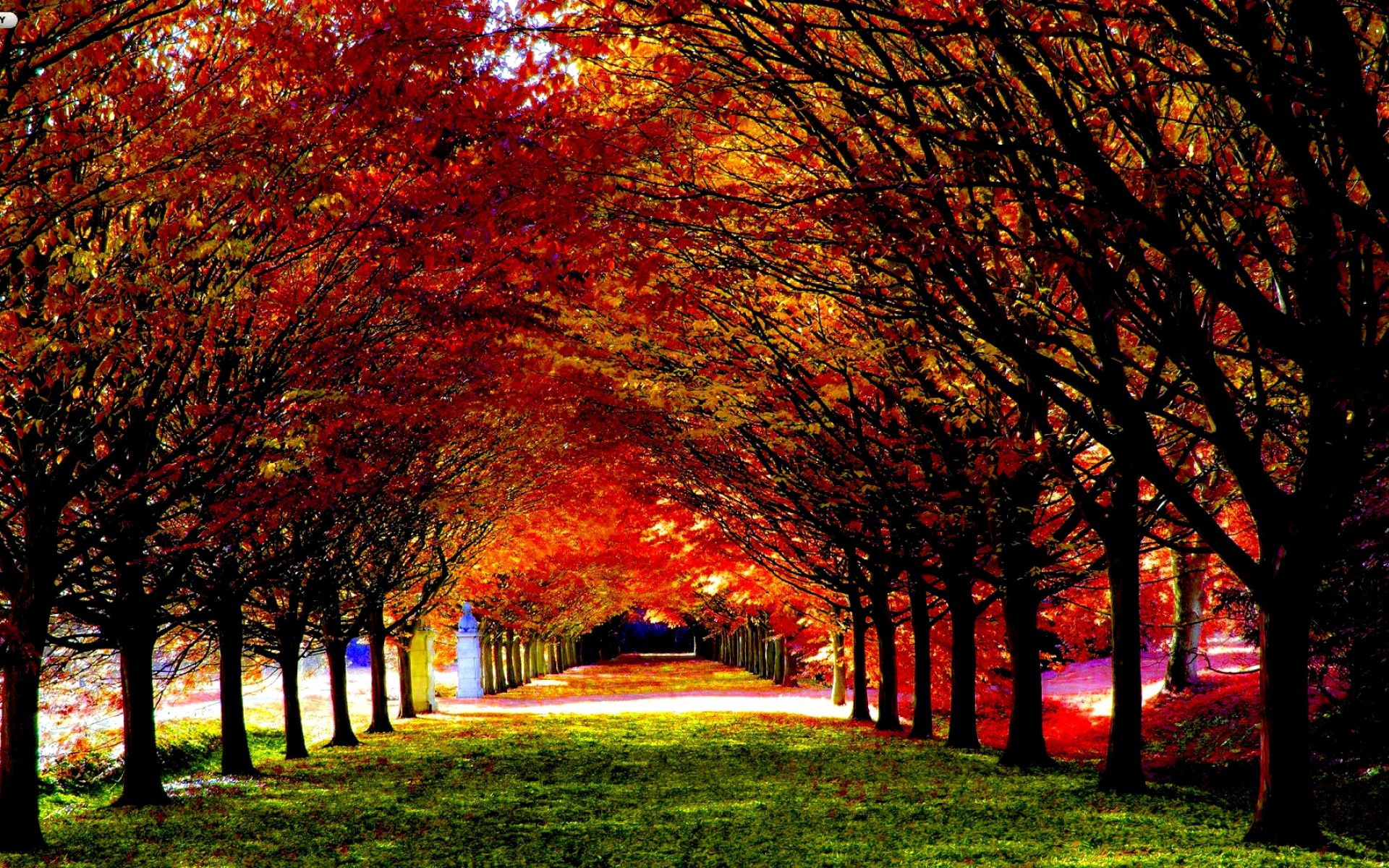 Featured image of post Wallpaper Beautiful Fall Images