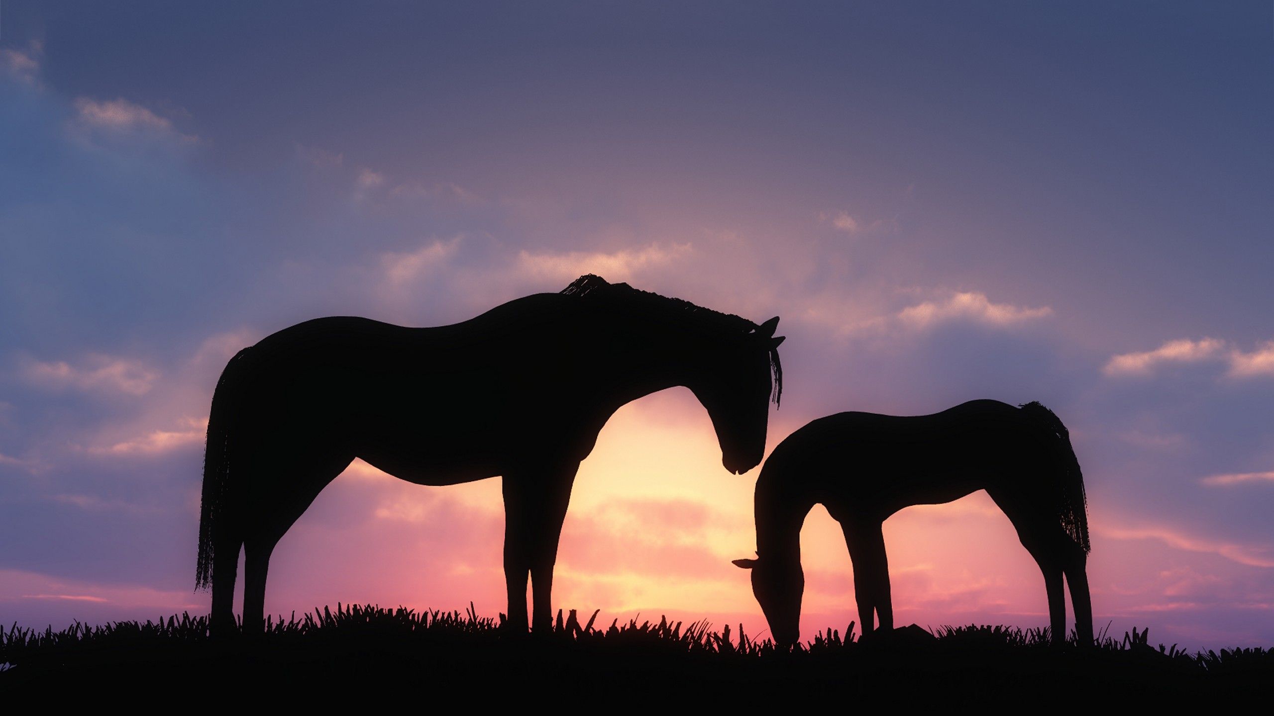 Featured image of post Wallpaper Cute Horse Backgrounds