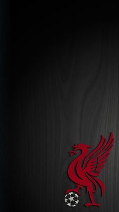 Featured image of post Wallpaper Liverpool Fc Art